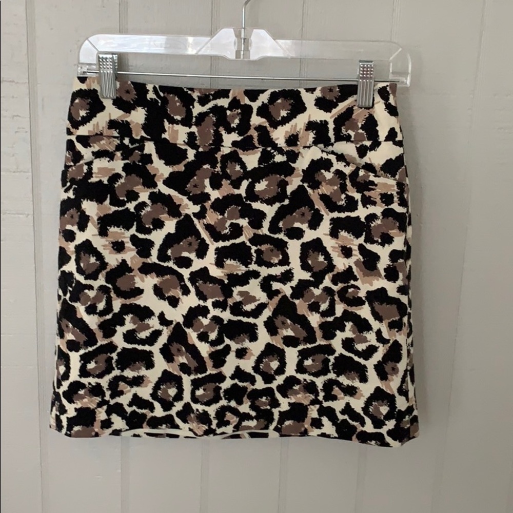 Ladies skirt Ann Taylor Loft size 2p